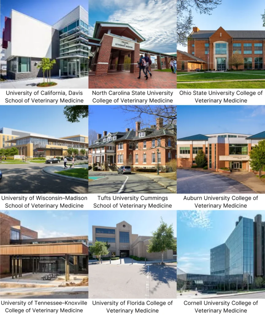 Collage of top veterinary medicine schools in the United States, including UC Davis, Ohio State, Cornell, and others, representing Vetucore LLC's expert guidance for students choosing the best veterinary medicine schools.