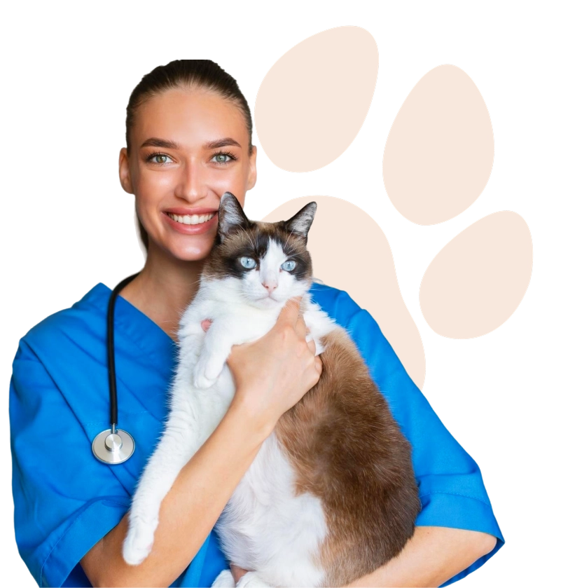 Smiling veterinary student in blue scrubs holding a cat in front of paw print graphics—symbolizing compassionate care and expert support for vet school and VMCAS applications with Vetucore LLC.