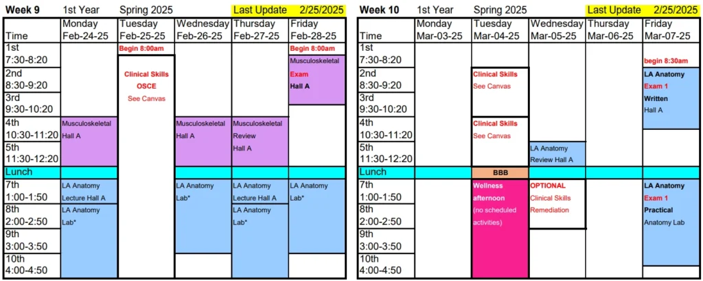 Veterinary school first-year spring 2025 schedule highlighting musculoskeletal, clinical skills, and large animal anatomy courses – Vetucore LLC.