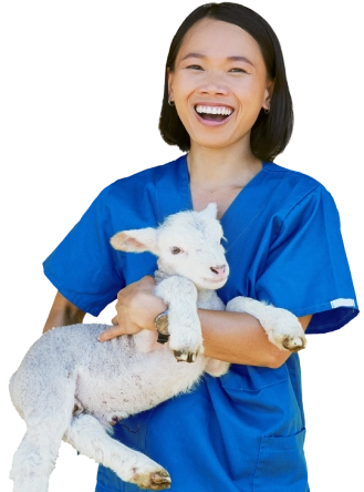 Future veterinarian in scrubs joyfully holding a lamb — Vetucore LLC guides students through veterinary medicine degree programs.