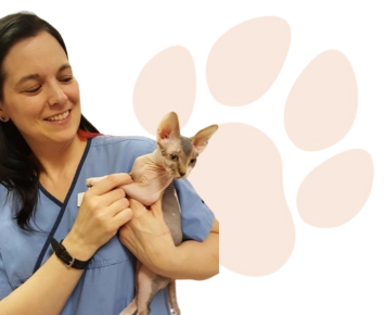 Rechelle from Vetucore LLC smiling while holding a Sphynx cat, representing expert veterinary consulting and compassionate academic advising.